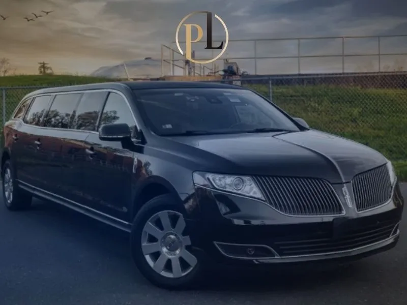 8 Passenger Stretch Limo